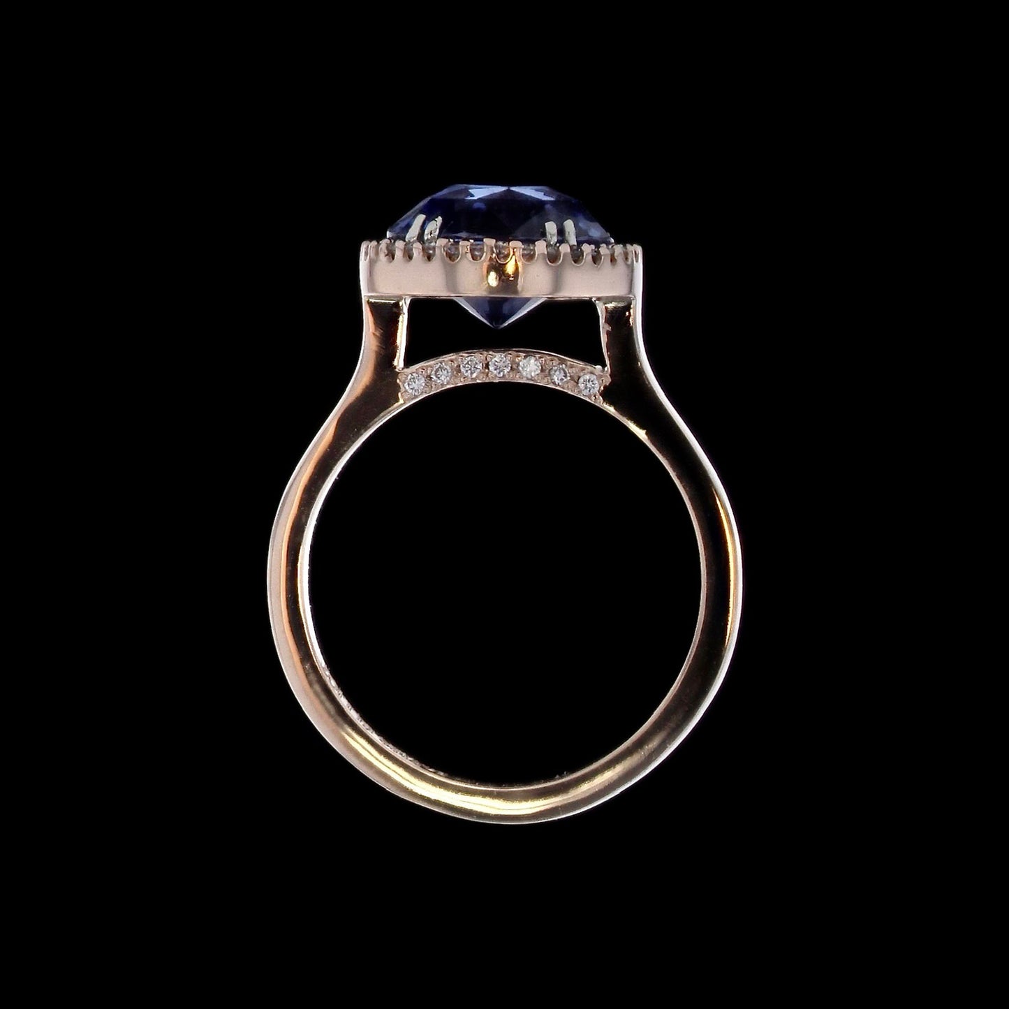 Ring Slide Sapphire