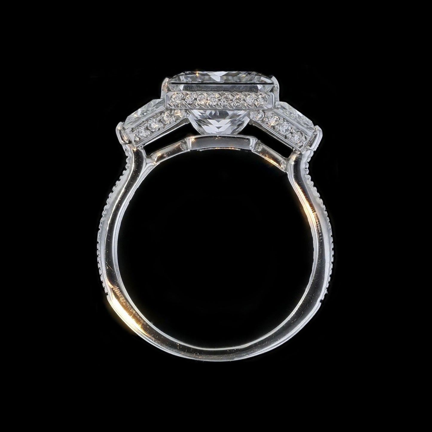 Ring Naked Princess 5