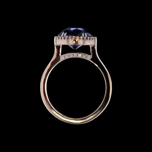 Ring Slide Sapphire